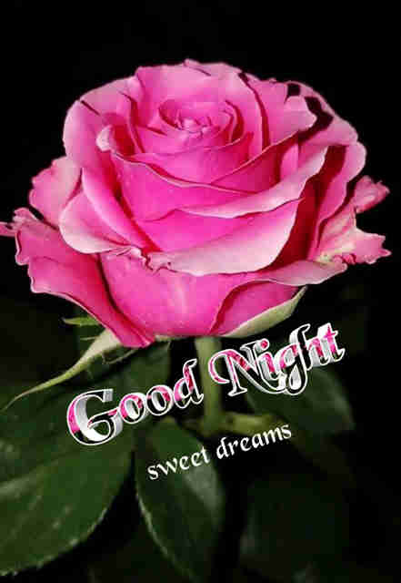 Good Night Flowers